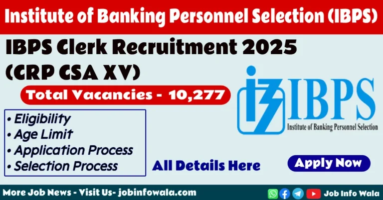 IBPS Clerk Recruitment 2025 official notification and online application process